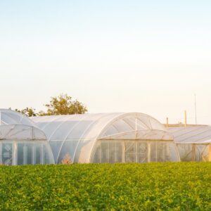 Invernadero Nº.2: Multi C