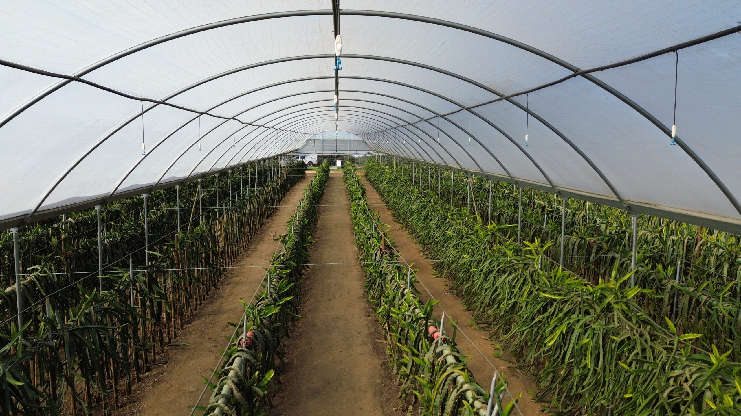 Invernaderos con segunda vida